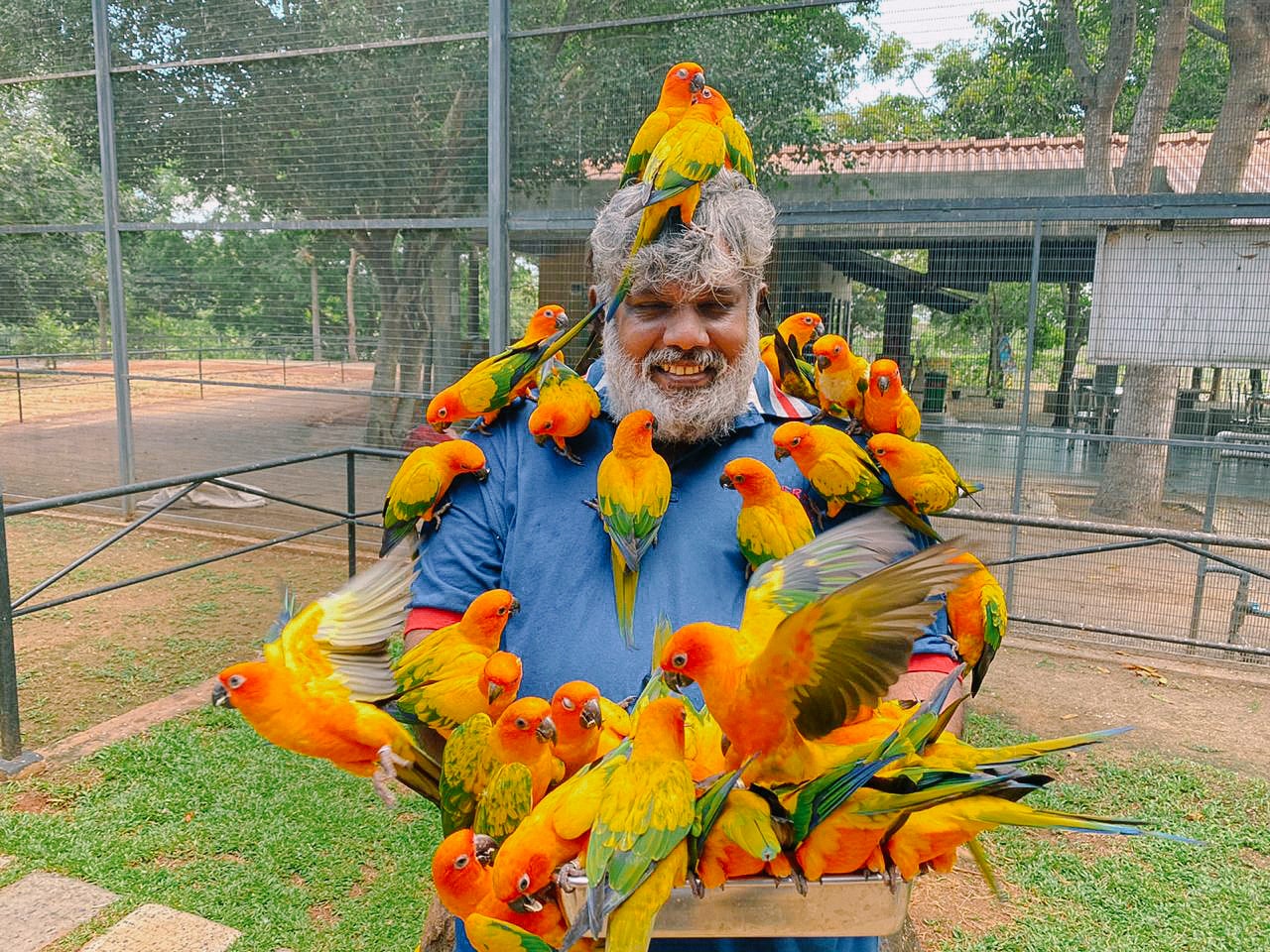 Bird Park