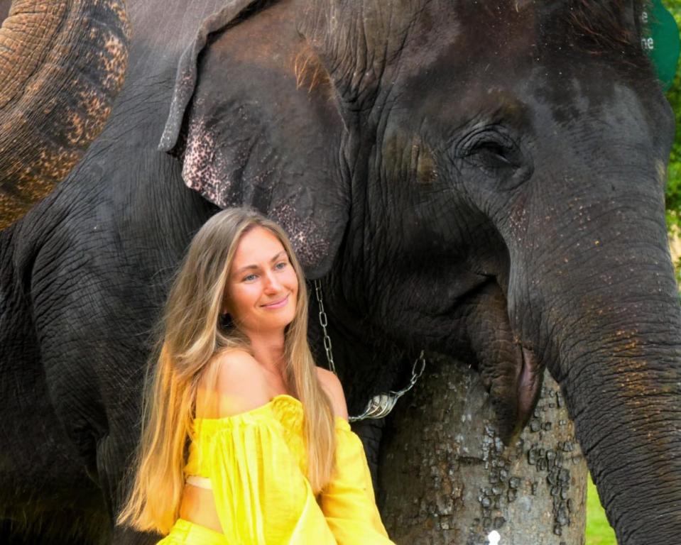 Elephant